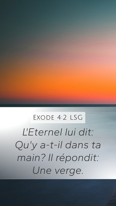 Exode 4:2 LSG Bible Verse Image