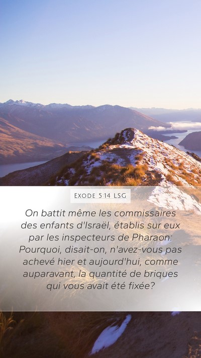 Exode 5:14 LSG Bible Verse Image