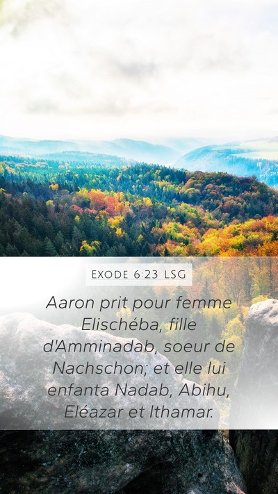 Exode 6:23 LSG Bible Verse Image