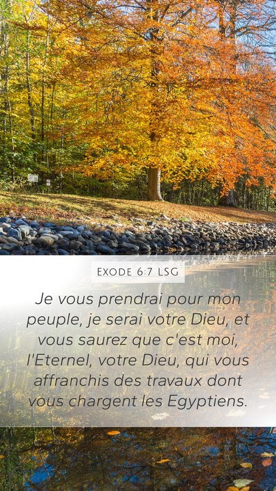 Exode 6:7 LSG Bible Verse Image