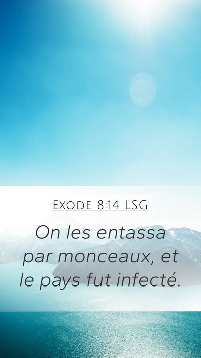 Exode 8:14 LSG Mobile Phone Wallpaper - On les entassa par monceaux, et le pays fut - Mobile Bible Verse Wallpaper