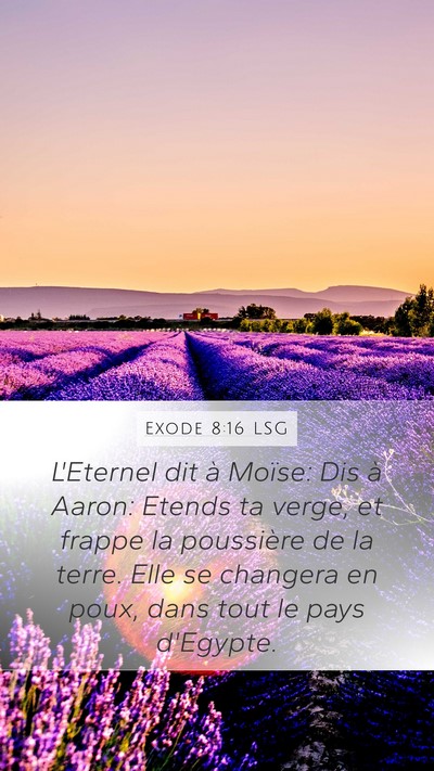 Exode 8:16 LSG Bible Verse Image