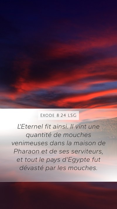 Exode 8:24 LSG Bible Verse Image