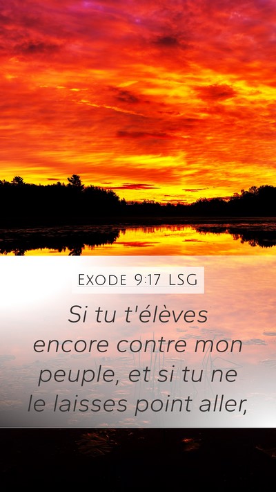 Exode 9:17 LSG Bible Verse Image