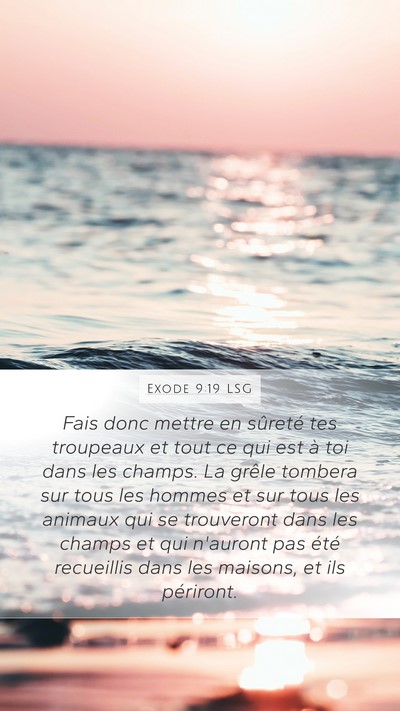 Exode 9:19 LSG Bible Verse Image
