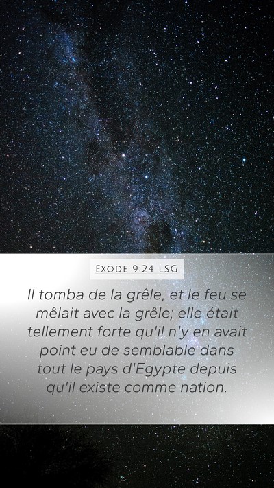 Exode 9:24 LSG Bible Verse Image