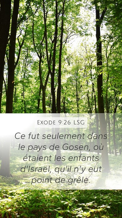 Exode 9:26 LSG Bible Verse Image