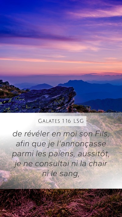 Galates 1:16 LSG Bible Verse Image