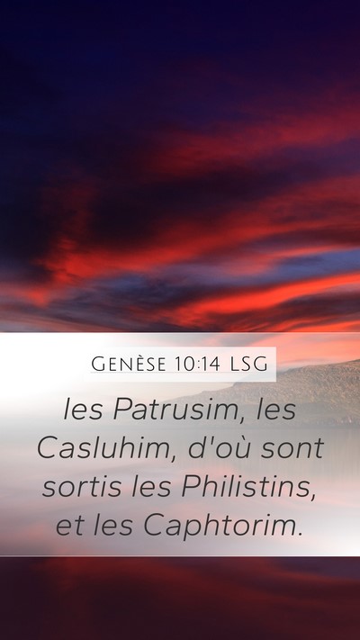 Genèse 10:14 LSG Bible Verse Image