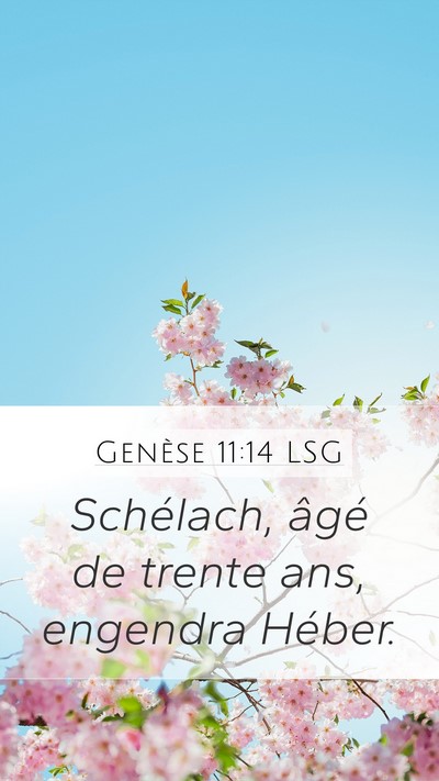 Genèse 11:14 LSG Mobile Phone Wallpaper - Schélach, âgé de trente ans, engendra - Mobile Bible Verse Wallpaper