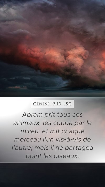 Genèse 15:10 LSG Mobile Phone Wallpaper - Abram prit tous ces animaux, les coupa par le - Mobile Bible Verse Wallpaper