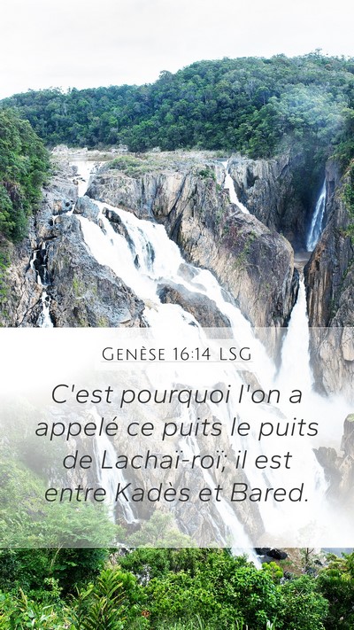 Genèse 16:14 LSG Bible Verse Image