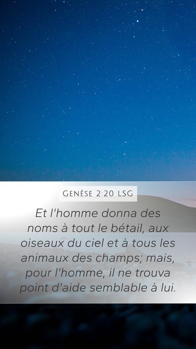Genèse 2:20 LSG Bible Verse Image