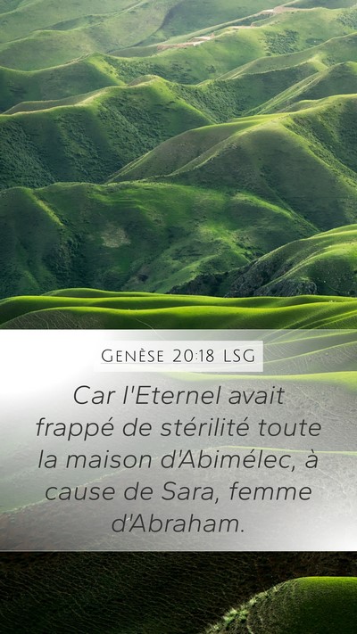 Genèse 20:18 LSG Bible Verse Image