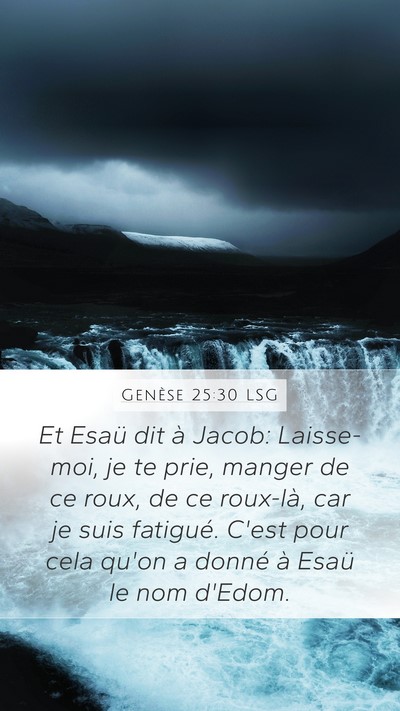 Genèse 25:30 LSG Mobile Phone Wallpaper - Et Esaü dit à Jacob: Laisse-moi, je te prie, - Mobile Bible Verse Wallpaper