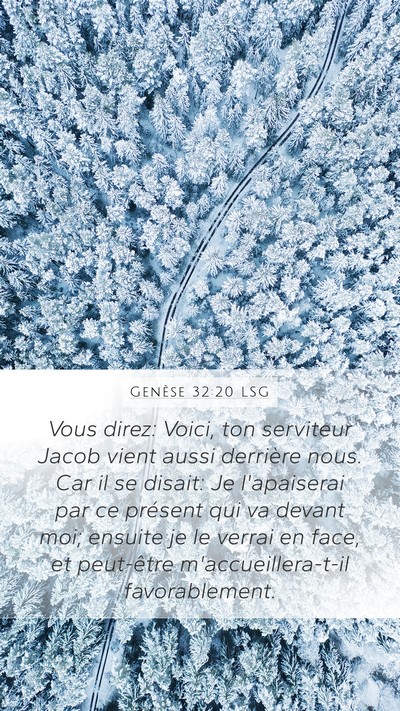 Genèse 32:20 LSG Bible Verse Image