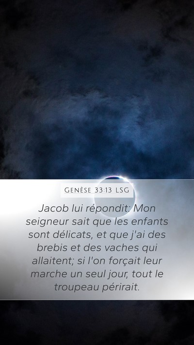 Genèse 33:13 LSG Bible Verse Image