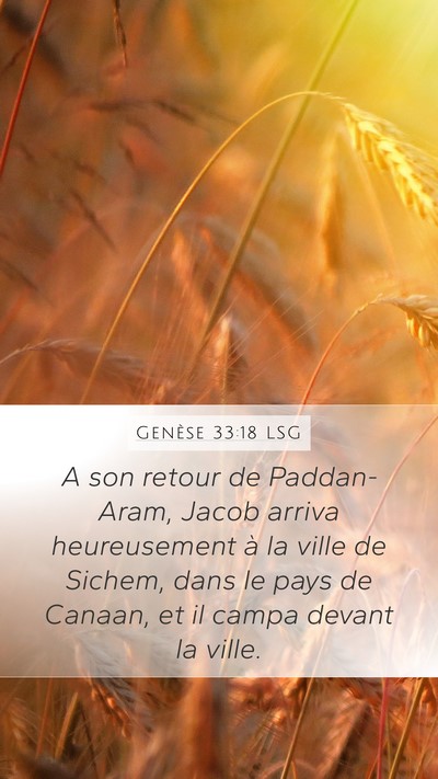 Genèse 33:18 LSG Bible Verse Image