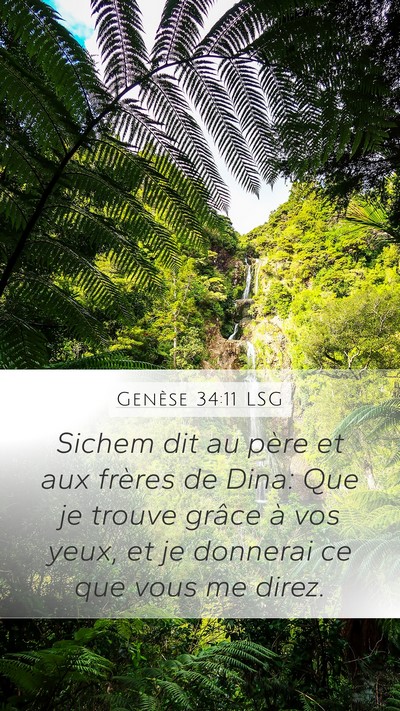 Genèse 34:11 LSG Bible Verse Image