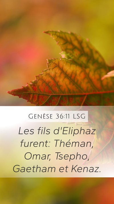 Genèse 36:11 LSG Bible Verse Image
