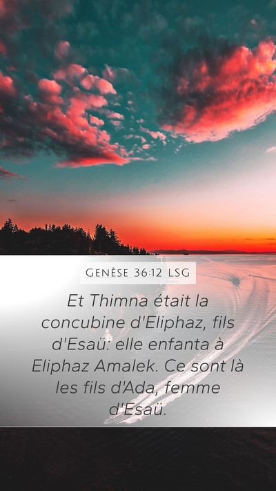 Genèse 36:12 LSG Bible Verse Image