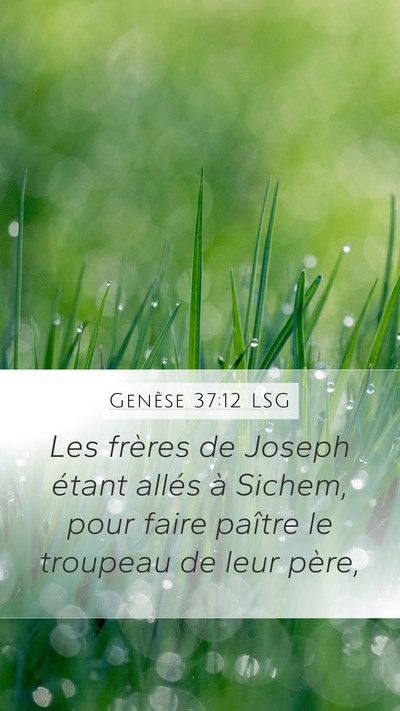 Genèse 37:12 LSG Mobile Phone Wallpaper - Les frères de Joseph étant allés à Sichem, - Mobile Bible Verse Wallpaper