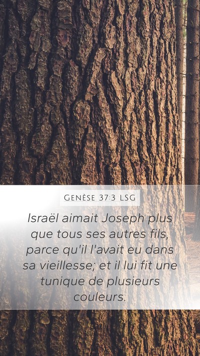 Genèse 37:3 LSG Bible Verse Image