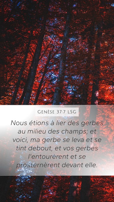 Genèse 37:7 LSG Bible Verse Image
