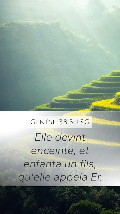 Genèse 38:3 LSG Mobile Phone Wallpaper - Elle devint enceinte, et enfanta un fils, qu'elle - Mobile Bible Verse Wallpaper