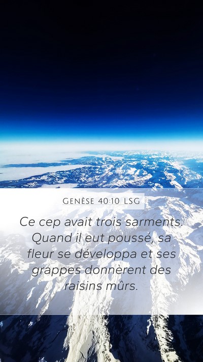 Genèse 40:10 LSG Mobile Phone Wallpaper - Ce cep avait trois sarments. Quand il eut - Mobile Bible Verse Wallpaper