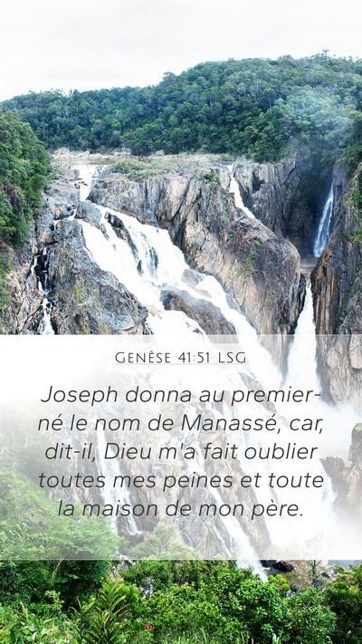Genèse 41:51 LSG Bible Verse Image