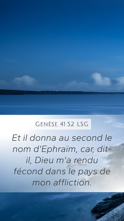 Genèse 41:52 LSG Bible Verse Image
