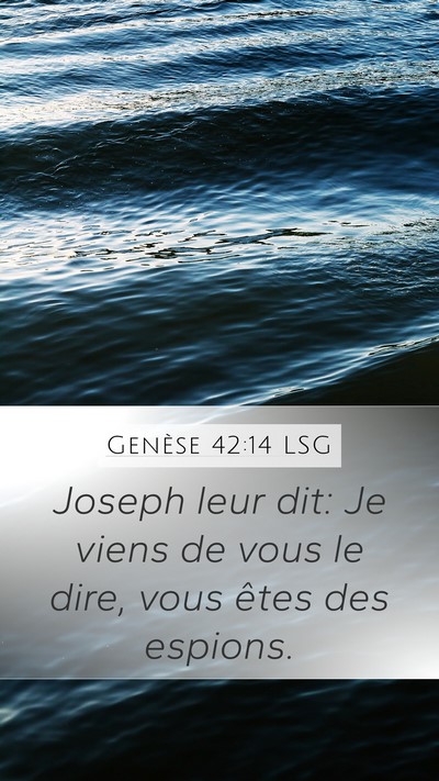 Genèse 42:14 LSG Mobile Phone Wallpaper - Joseph leur dit: Je viens de vous le dire, vous - Mobile Bible Verse Wallpaper