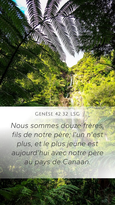 Genèse 42:32 LSG Bible Verse Image