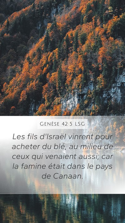 Genèse 42:5 LSG Bible Verse Image
