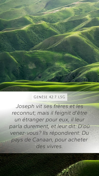 Genèse 42:7 LSG Bible Verse Image