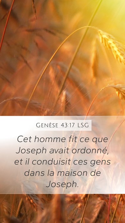 Genèse 43:17 LSG Mobile Phone Wallpaper - Cet homme fit ce que Joseph avait ordonné, et il - Mobile Bible Verse Wallpaper