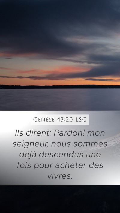 Genèse 43:20 LSG Bible Verse Image
