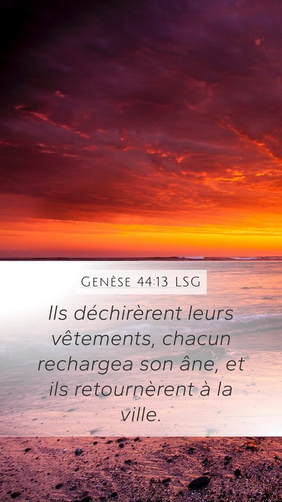 Genèse 44:13 LSG Mobile Phone Wallpaper - Ils déchirèrent leurs vêtements, chacun - Mobile Bible Verse Wallpaper