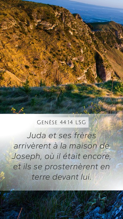 Genèse 44:14 LSG Bible Verse Image