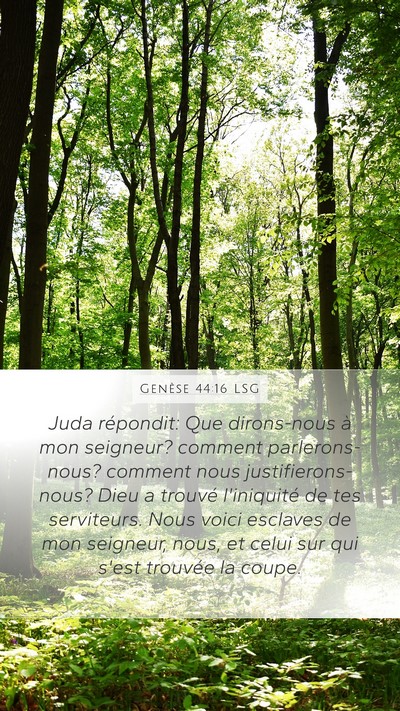 Genèse 44:16 LSG Bible Verse Image