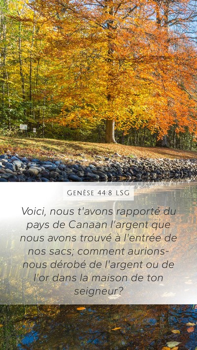 Genèse 44:8 LSG Mobile Phone Wallpaper - Voici, nous t'avons rapporté du pays de Canaan - Mobile Bible Verse Wallpaper