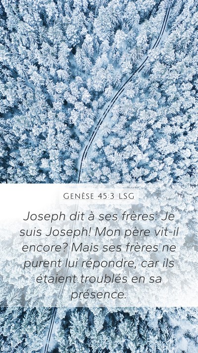 Genèse 45:3 LSG Bible Verse Image