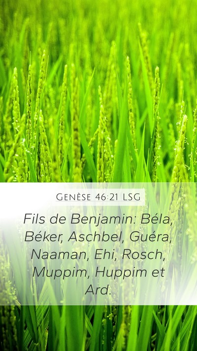Genèse 46:21 LSG Mobile Phone Wallpaper - Fils de Benjamin: Béla, Béker, Aschbel, Guéra, - Mobile Bible Verse Wallpaper