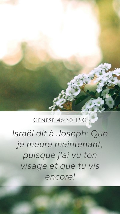 Genèse 46:30 LSG Bible Verse Image