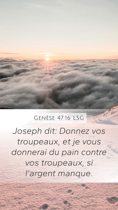 Genèse 47:16 LSG Mobile Phone Wallpaper - Joseph dit: Donnez vos troupeaux, et je vous - Mobile Bible Verse Wallpaper