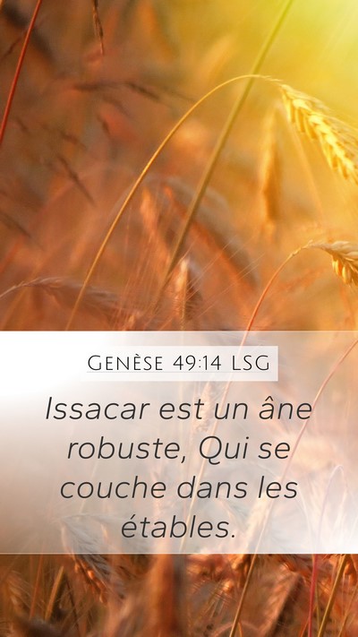 Genèse 49:14 LSG Bible Verse Image