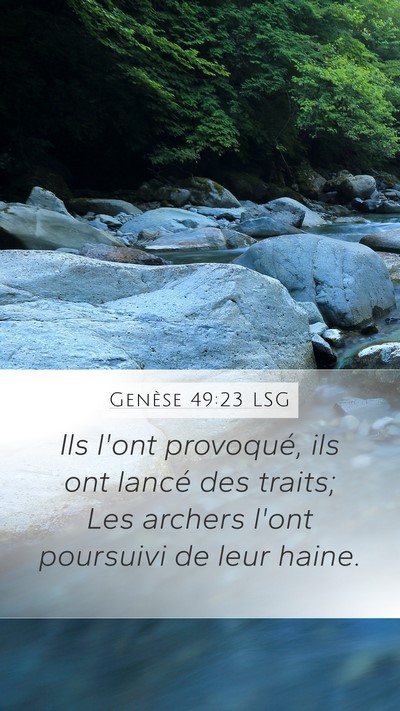 Genèse 49:23 LSG Bible Verse Image