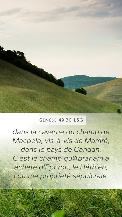 Genèse 49:30 LSG Bible Verse Image