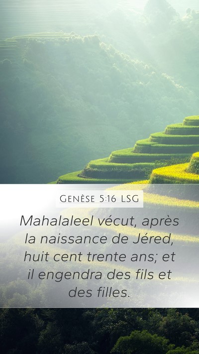 Genèse 5:16 LSG Mobile Phone Wallpaper - Mahalaleel vécut, après la naissance de Jéred, - Mobile Bible Verse Wallpaper